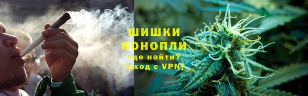 ПСИЛОЦИБИНОВЫЕ ГРИБЫ Горно-Алтайск