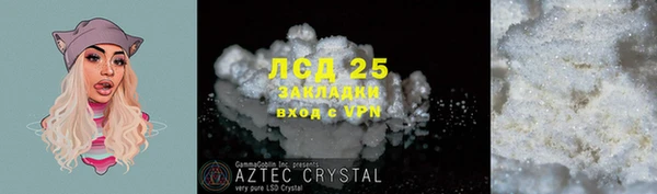 ПСИЛОЦИБИНОВЫЕ ГРИБЫ Горно-Алтайск