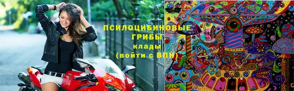 дмт Горняк