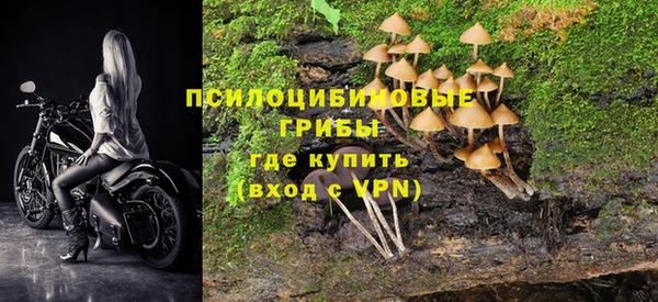 дмт Горняк