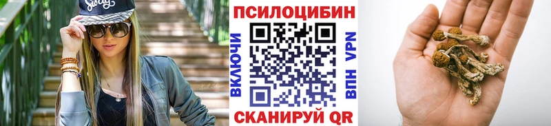 Псилоцибиновые грибы ЛСД  Междуреченск 