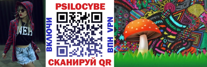 Галлюциногенные грибы мухоморы Междуреченск