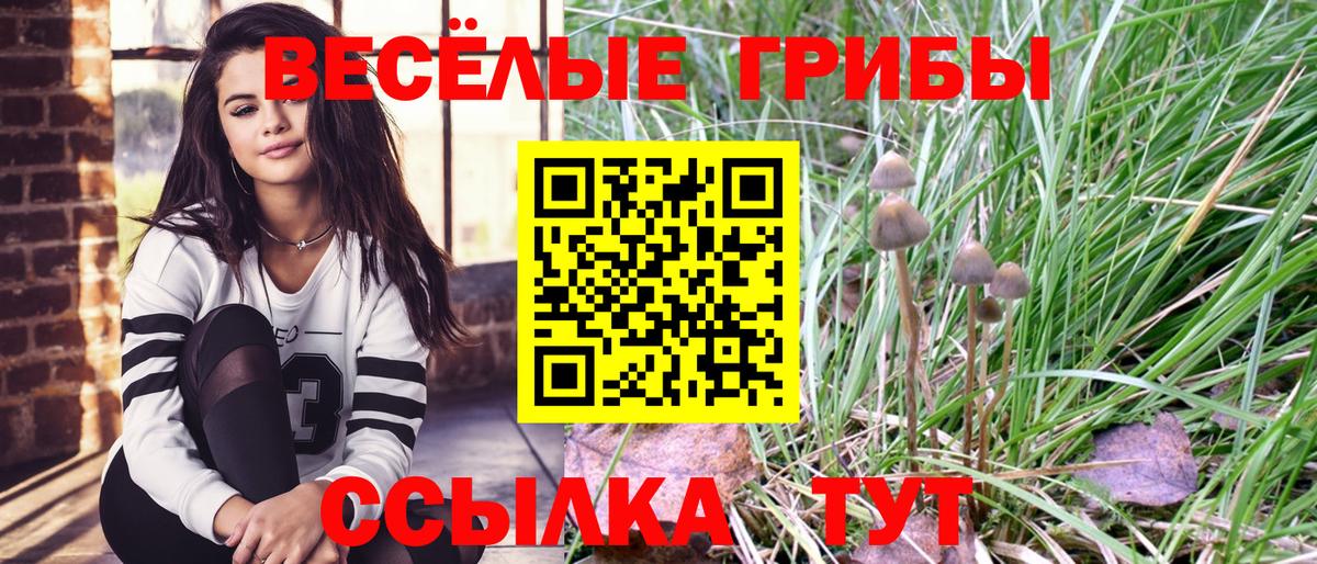 Псилоцибиновые грибы прущие грибы  Вход с VPN  Междуреченск 