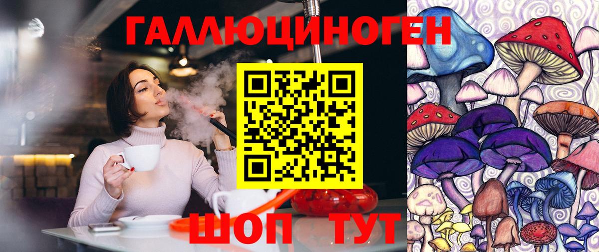 Галлюциногенные грибы Psilocybine cubensis Междуреченск